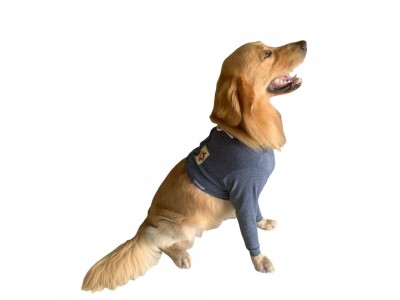 Protetores P/ Membros Anteriores N.3 